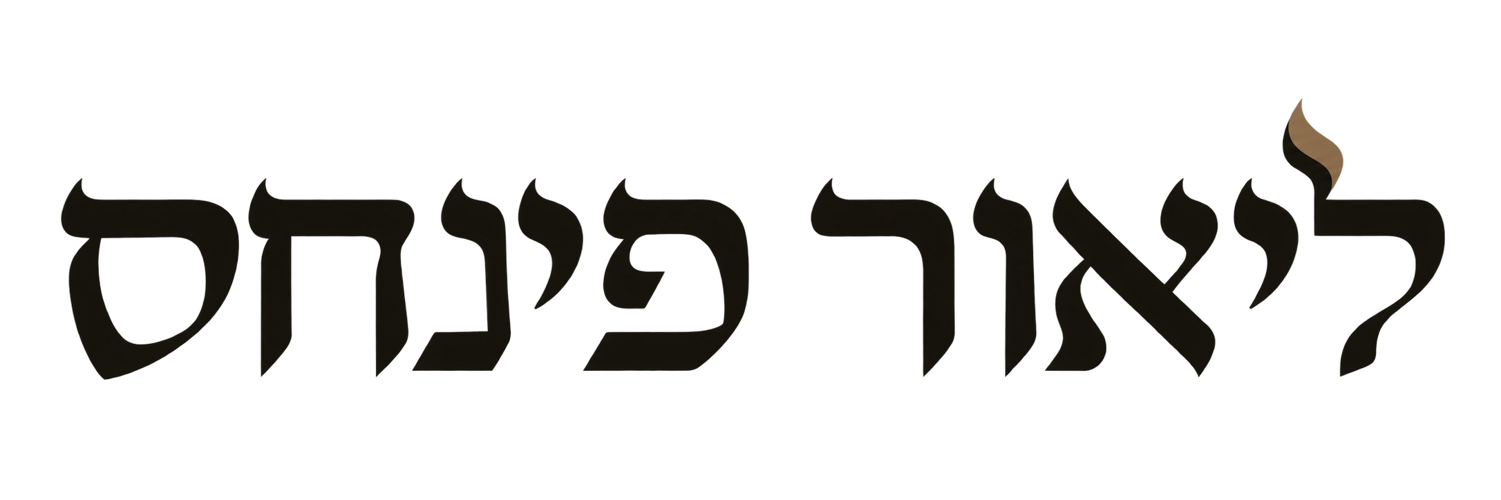 ליאור פינחס